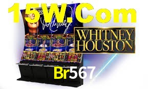 Programa VIP Br567