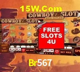 Exclusive Offers Br567